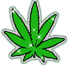 ''Poder falar de Maconha,Liberdade de expressão ♫'' . ''Isso é só para Loucos,caretas não ♫'' #LegalizeJá .