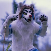 Clumzy (@clumzylion) 's Twitter Profile Photo Clumzy (@clumzylion) 's Twitter Profile Photo