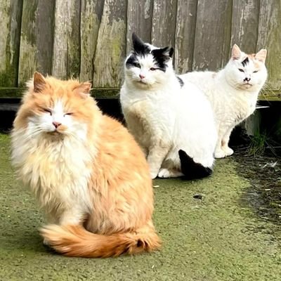 Redgate Farm Animal Sanctuary Profile