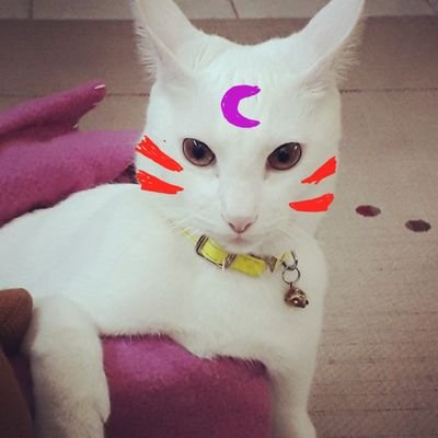 Karenxitamalowiiさんのプロフィール画像