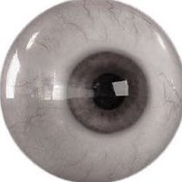 𝓔𝓵 ♱⃓ (@uppersl0ver) 's Twitter Profile Photo