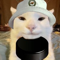 x - marzy ✨ (@weirdnotwild) 's Twitter Profile Photo