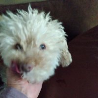 Kimby Gonzalez (@kimby_gonz266) 's Twitter Profile