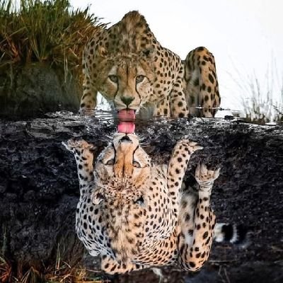 Hamzabellasfar's profile picture. 🤸🏻.•. 🏌🏻.   🎯  ⚖️🪽🪐🕊️ 🪽⚓

   🛞 🏹