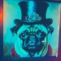 Bearded_sigma (@bearded_sigma) 's Twitter Profile