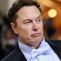private Elonmusk (@elonmusk039376) 's Twitter Profile