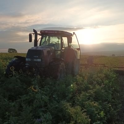 BenoitCLEM08's profile picture. #notill #A2C