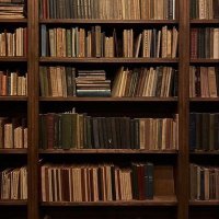 ألِفْ | 🌱🤍 (@aso_ol65) 's Twitter Profile Photo