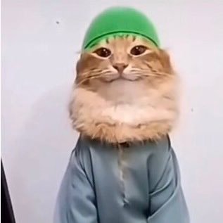 j4br1l_impact's profile picture. 