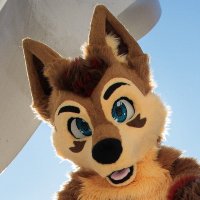 Noppes (@noppesthefolf) 's Twitter Profile