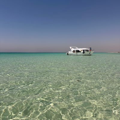 Oualid932's profile picture. 