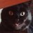chutrielx's profile image