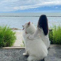 Mia🌟 (@wtkpgjnp) 's Twitter Profile