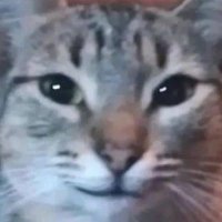 M (@needivt) 's Twitter Profile