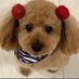 ぶんぶん (@bunbun25_) Twitter profile photo ぶんぶん (@bunbun25_) Twitter profile photo