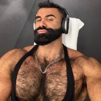 Persian Wolf ๐บ (@alphatopwolf22) 's Twitter Profile