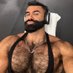 Persian Wolf ๐บ (@alphatopwolf22) Twitter profile photo Persian Wolf ๐บ (@alphatopwolf22) Twitter profile photo