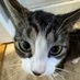 Sbevey McSbevenson Shoeman ๐ ๐๐ (@itssbeve) Twitter profile photo Sbevey McSbevenson Shoeman ๐ ๐๐ (@itssbeve) Twitter profile photo