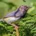 Taita Apalis (@eaststay) Twitter profile photo Taita Apalis (@eaststay) Twitter profile photo