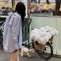 tomo (@tomo_k_u) 's Twitter Profile