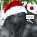 deli dehşet özgür kry 🎄✨ (@mewnewship) Twitter profile photo deli dehşet özgür kry 🎄✨ (@mewnewship) Twitter profile photo