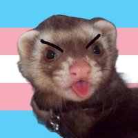 🏴Shoe || she/it 🏳️⚧️ (@reddshoee) 's Twitter Profile