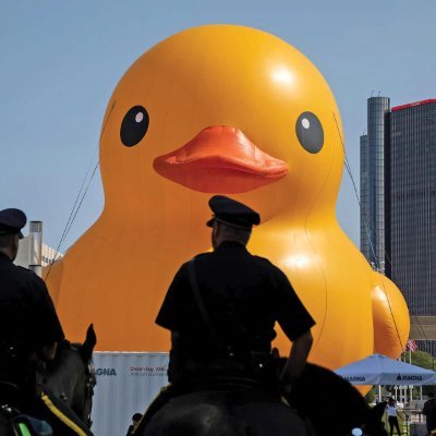 quackingdux's profile picture. Quack 🐥🐣🦆🐤