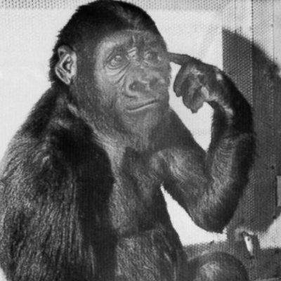 Wiwor123's profile picture. a a b b c c