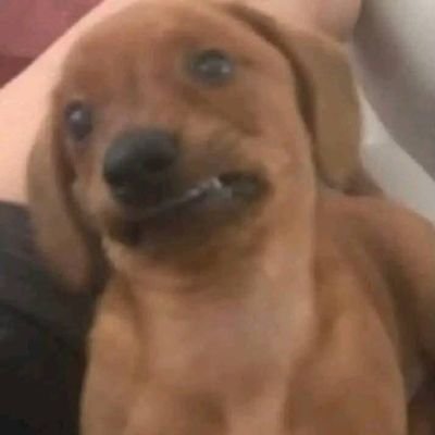 Binnidxaba1's profile picture. 