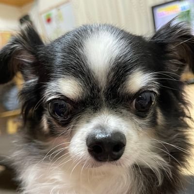 hOgwei7sKc32232's profile picture. 