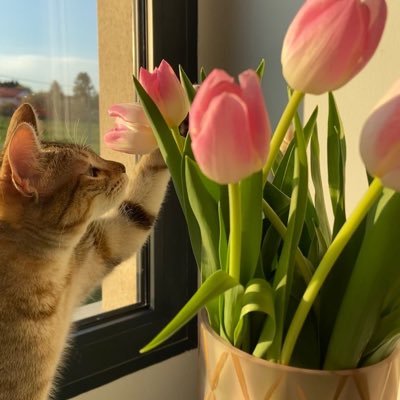 _isa0509's profile picture. ⚠️ 𝓜𝓾𝓵𝓽𝓲𝓯𝓪𝓷𝓭𝓸𝓶