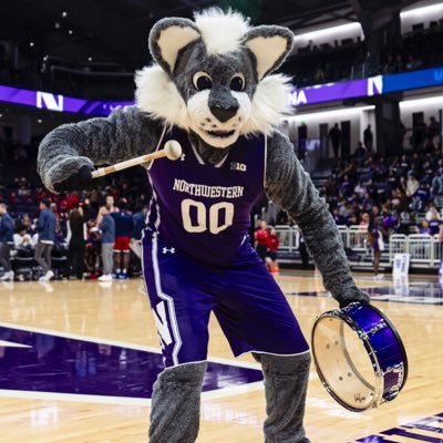 WillieWildcatNU's profile picture. Chicago’s B1G Mascot 😸