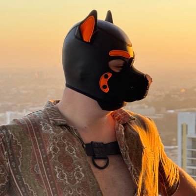 Pup Marshal Profile