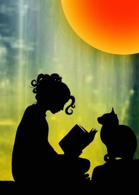 catflow09's profile picture. 