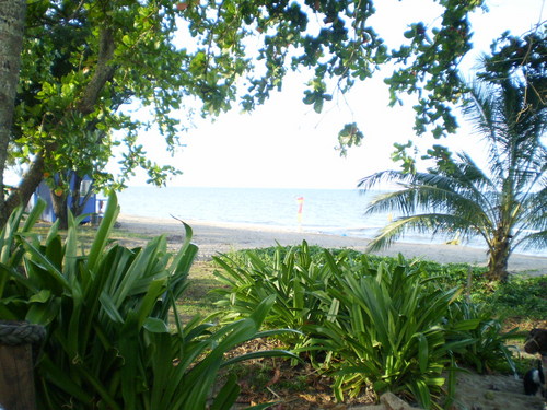 mrsbracknell's profile picture. Dum Spiro Spero.......
......Mea culpa