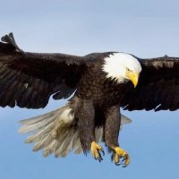 Abu Weam Al_Hasan (@weam6444) Twitter profile photo
