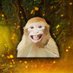 Monkey CSGO (@monkey_csgo2) Twitter profile photo Monkey CSGO (@monkey_csgo2) Twitter profile photo