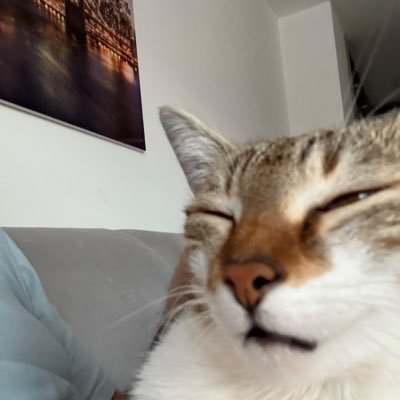 m_imsirovic's profile picture. Trying to retire with crypto, join me. Risk some, take a lot.