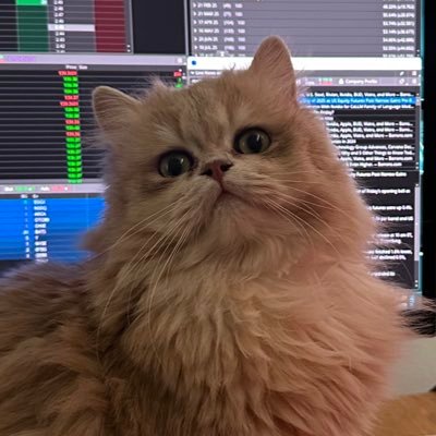 ddetherean's profile picture. omw to CPT, agnostic in superposition