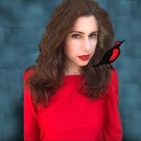 The Red Alark Pulse (@red_alark_pulse) 's Twitter Profile