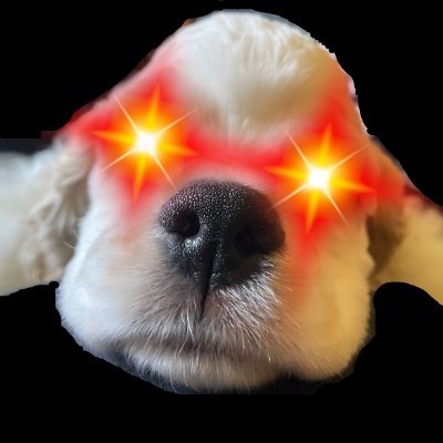 ItsmeItsme92's profile picture. 🇺🇸DarkPuppy | Dirt🔧 | 🖕🇷🇺🖕| Skeptic l ripCriticalThinking | Not Red, Not Blue, Red, White and Blue or GFY ! | OnlyGoodHappen | IsThataCorrectStatement
