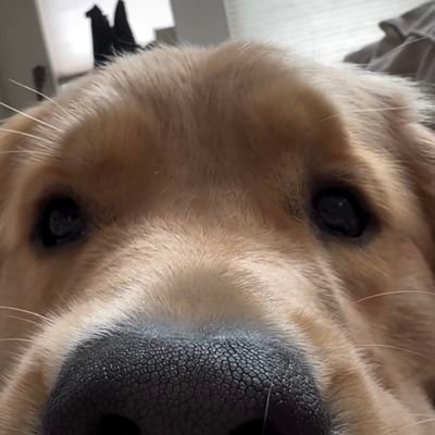 yoodw_le's profile picture. lingorm fly high🇭🇰
LOs Let's exchange follow