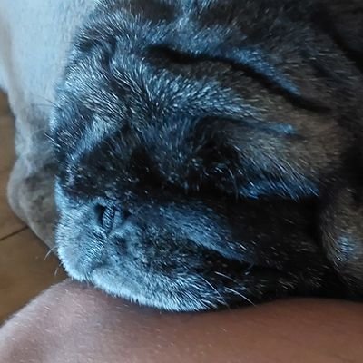 CoponStackos's profile picture. nothing