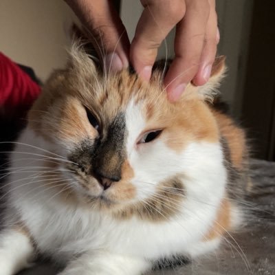 MastaBroshi1's profile picture. 