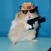 HamsterCross/McDooDooFart (@hamster1011420) Twitter profile photo HamsterCross/McDooDooFart (@hamster1011420) Twitter profile photo