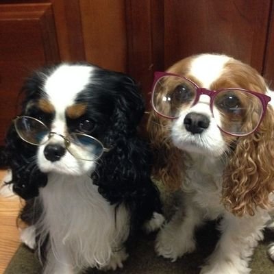 ngebuku's profile picture. suka pk