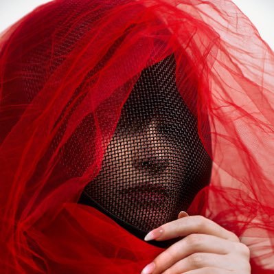 LewdyPanda's profile picture. Slava Ukraine 🇺🇦