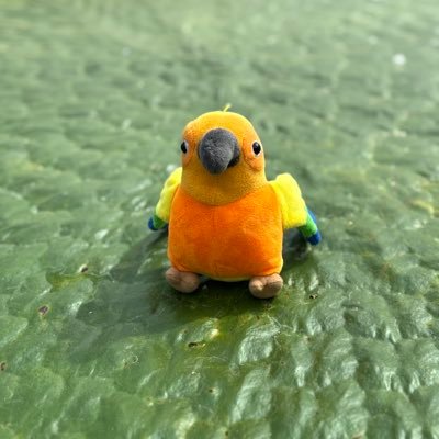 tacoma0919's profile picture. NIKKEでのポストが1番多いです！ 戦国乙女、野球、バイク好きです！ 無言フォロー歓迎！ リポストばかりの方はフォロー不可 推しNIKKE→リター 戦国乙女→ヒデヨシ シンフォギア →立花響