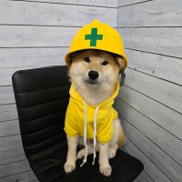 ハピネスグループ米子 女子求人 (@hapiyonago) 's Twitter Profile