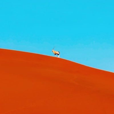 yagi_azur's profile picture. なんか比喩って感じだ